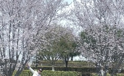 大尺度做爰视频吃奶WWW